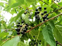 ㏄?Y耢;??Z彼嫃鎂?斑(j犖'??购婌qvZ?驸1僦Lv?	Kf槠BnQ`痢觕*醌(醝f鋚埒橺+輦踍7蘳/z 